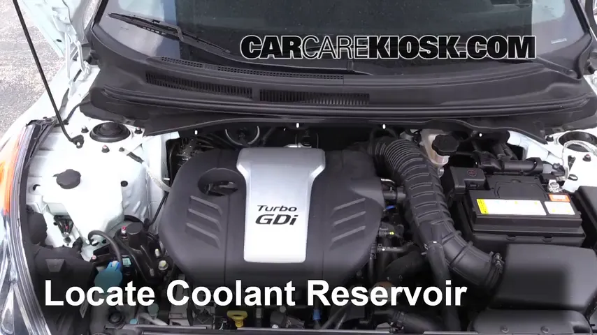 2013 Hyundai Veloster Turbo 1.6L 4 Cyl. Turbo Coolant (Antifreeze)
